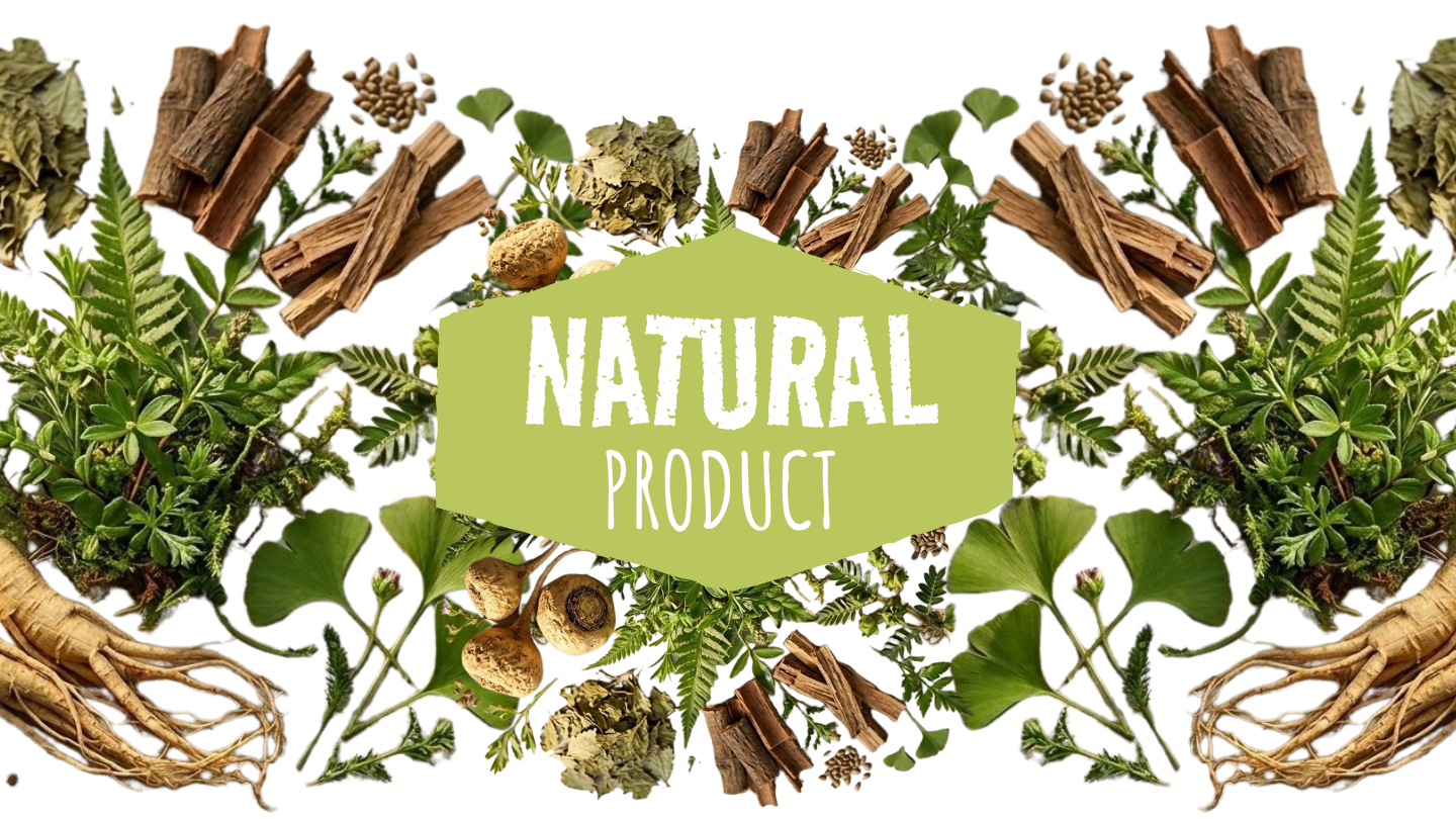 Ingredientes naturais — raízes, folhas e plantas medicinais